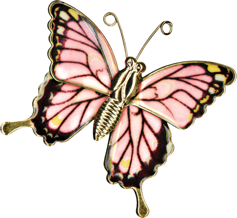 A pink butterfly.